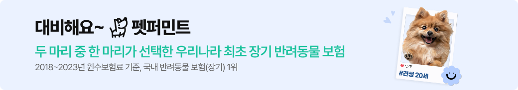 대비해요~ 펫퍼민트 두 마리 중 한 마리가 선택한 우리나라 최초 장기 반려동물 보험 2018~2023년 원수보험료 기준, 국내 반려동물 보험(장기) 1위